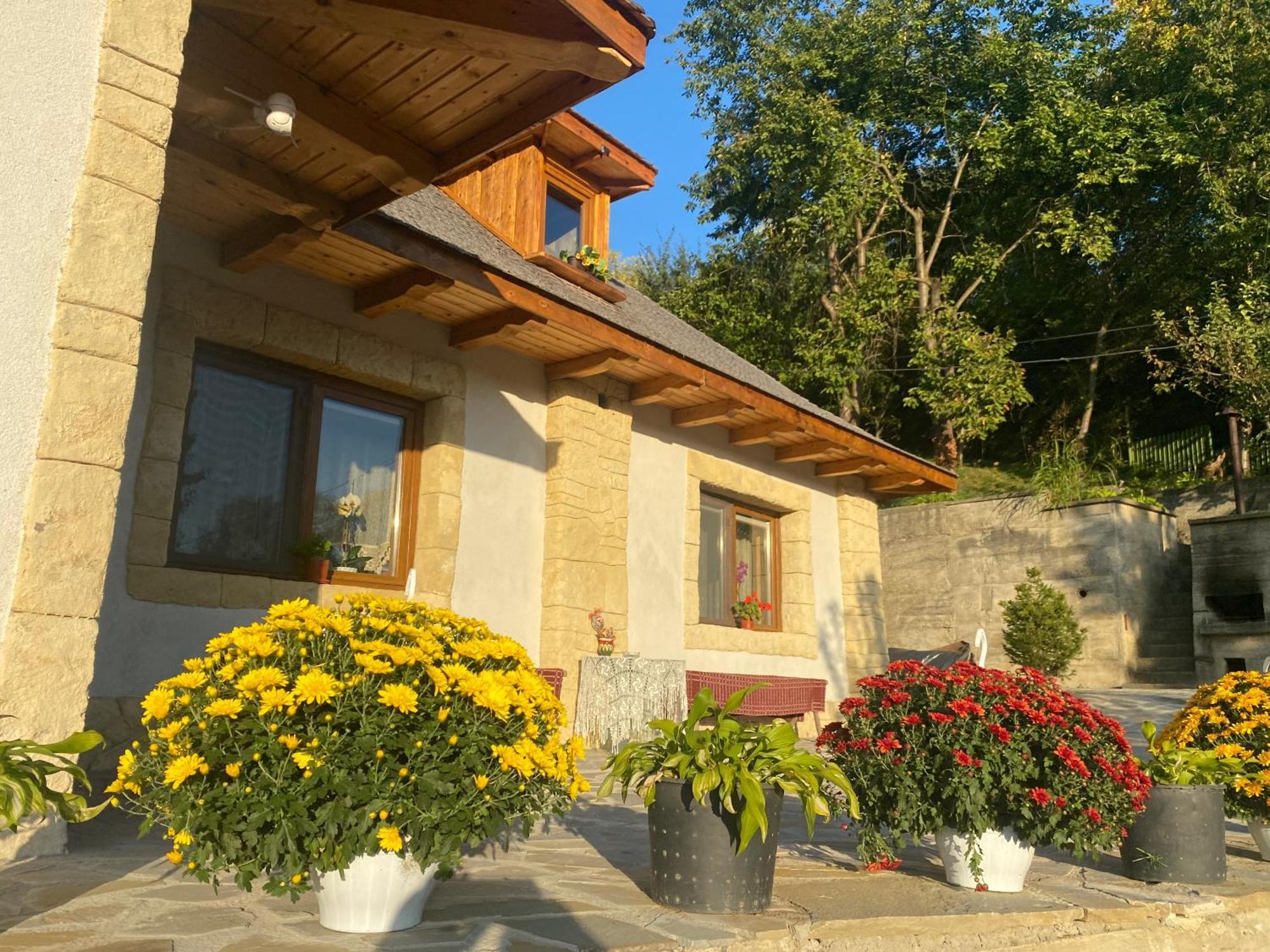 Casa Cu Sindrila Villa Valenii de Munte Ngoại thất bức ảnh